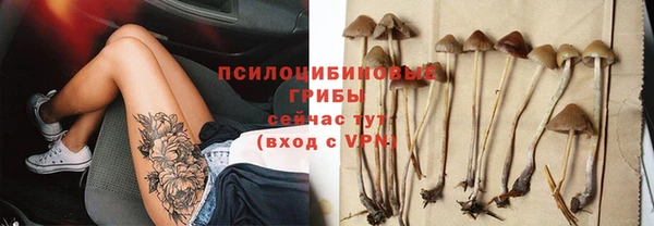 дживик Нязепетровск