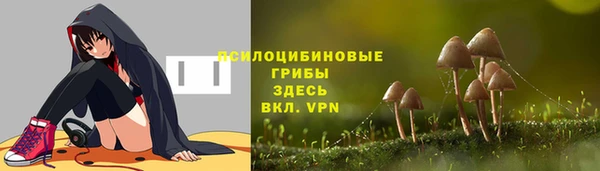 стафф Алексеевка