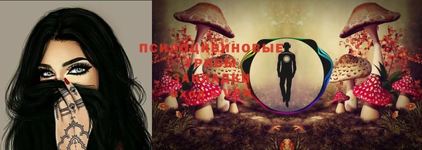 стафф Алексеевка