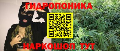 скорость Славгород