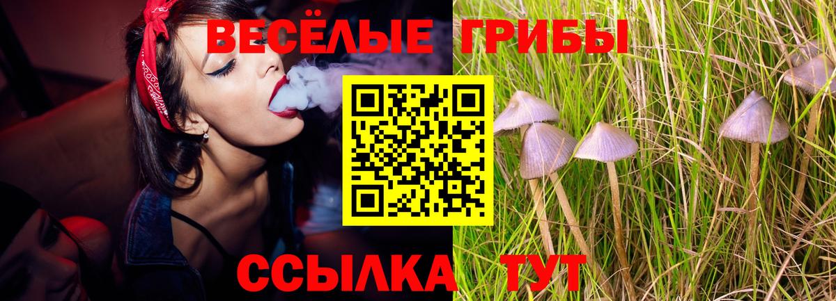 сколько стоит  Вход с VPN  Псилоцибиновые грибы ЛСД  Евпатория  Псилоцибиновые грибы мухоморы 